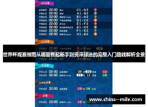 世界杯观赛指南从哪里看起新手到资深球迷的完整入门路线解析全景 世界杯观赛指南从哪里看起新手到资深球迷的完整入门路线解析全景