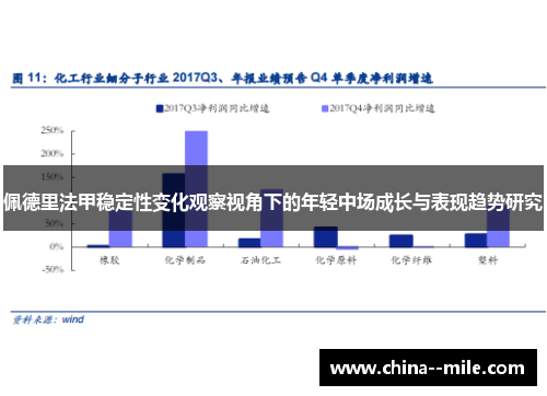 佩德里法甲稳定性变化观察视角下的年轻中场成长与表现趋势研究 佩德里法甲稳定性变化观察视角下的年轻中场成长与表现趋势研究