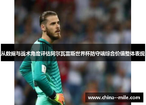 从数据与战术角度评估阿尔瓦雷斯世界杯防守端综合价值整体表现