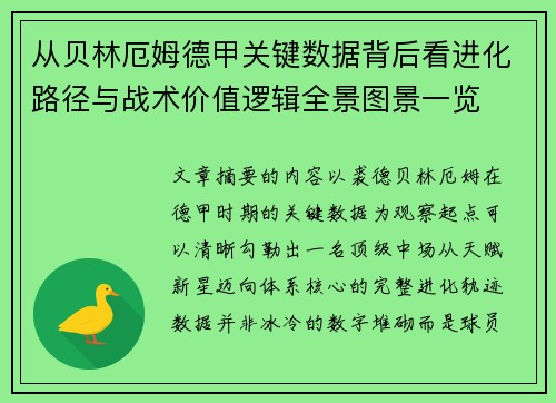 从贝林厄姆德甲关键数据背后看进化路径与战术价值逻辑全景图景一览